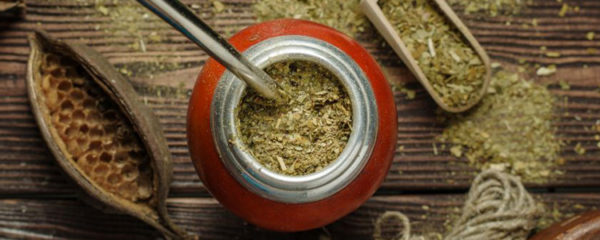 yerba maté
