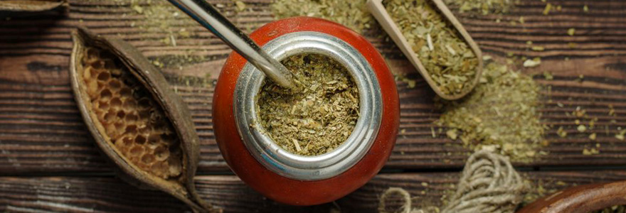 yerba maté