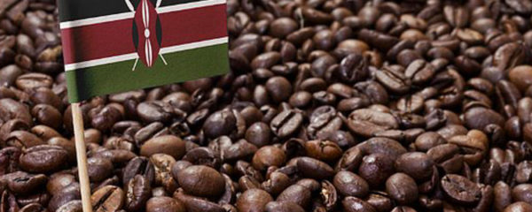 café du Kenya