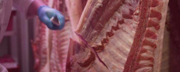 métier de bouche